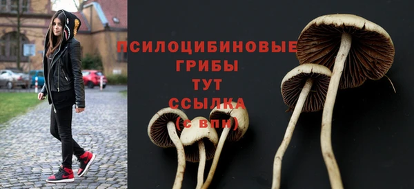 гашишное масло Богданович