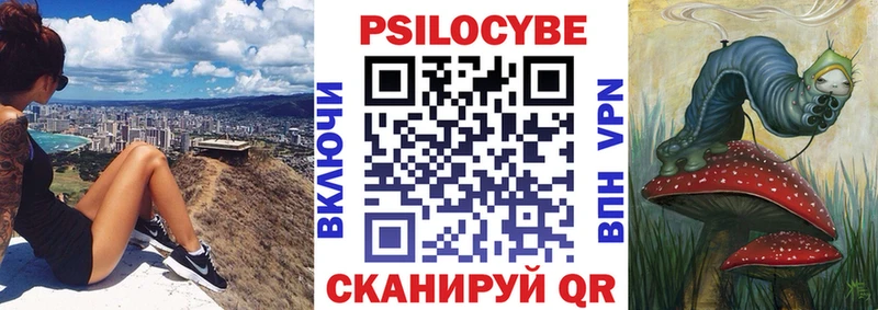 Псилоцибиновые грибы Psilocybe  Купить  Красный Холм 